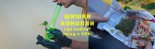 шишки Мегион