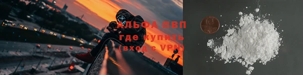 шишки Мегион