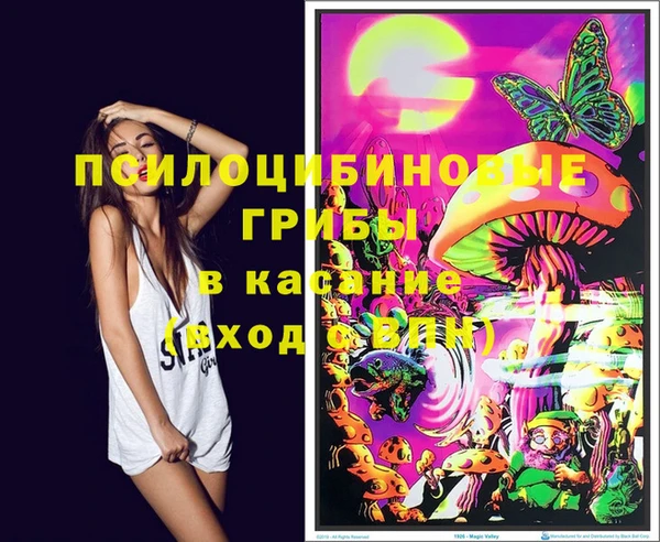 метадон Медвежьегорск