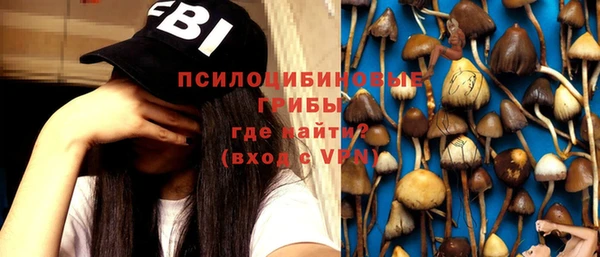 соль ск Михайлов