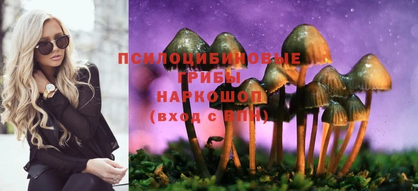 шишки Мегион