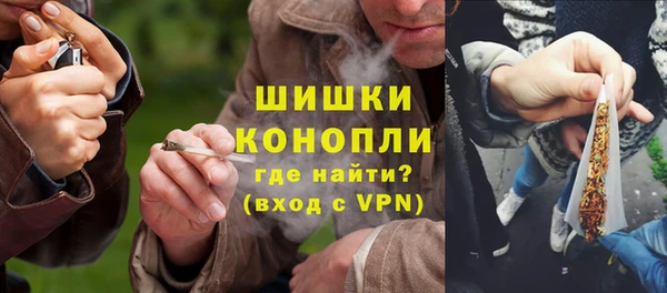 шишки Мегион